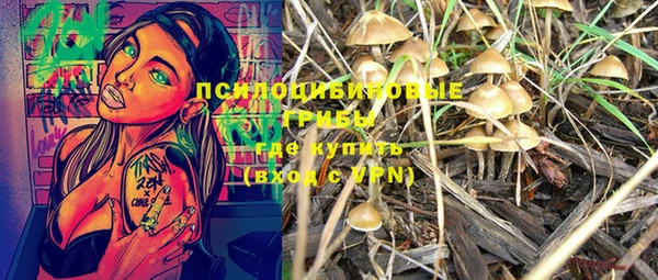 PSILOCYBIN Арсеньев