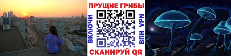 Галлюциногенные грибы GOLDEN TEACHER  где найти   Жирновск 